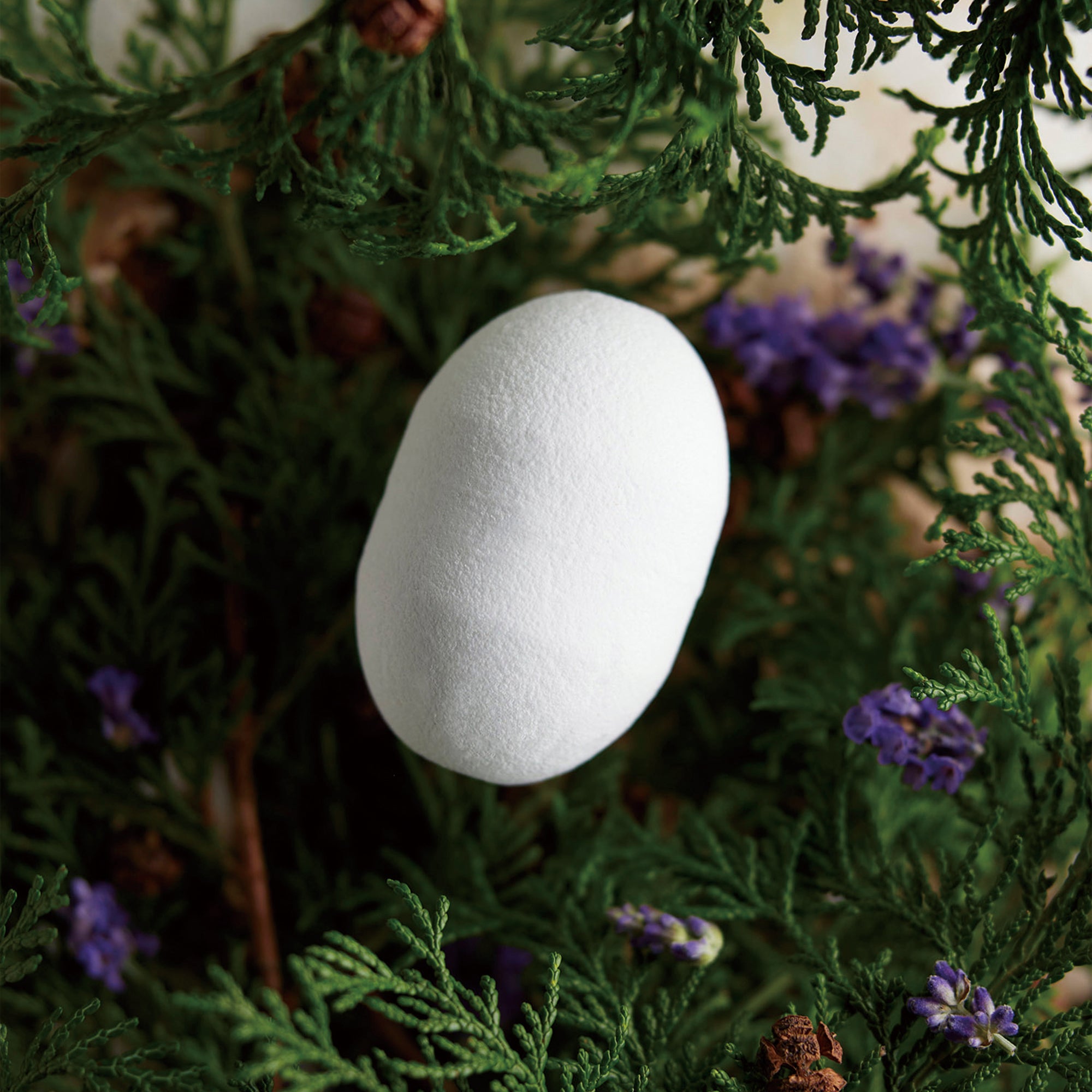 Celebration Gifts  [バスボム2個セット]